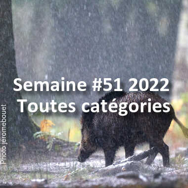 fotoduelo Semaine #51 2022 - Toutes catégories