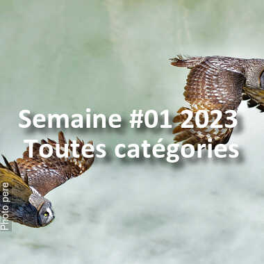 fotoduelo Semaine #01 2023 - Toutes catégories
