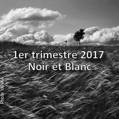 fotoduelo 1er trimestre 2017 - Noir et Blanc