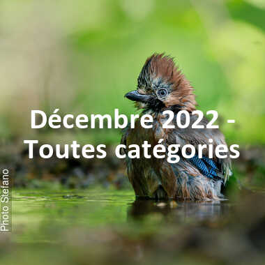 fotoduelo Décembre 2022 - Toutes catégories