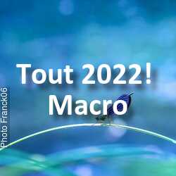 fotoduelo Tout 2022! - Macro
