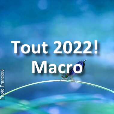 fotoduelo Tout 2022! - Macro