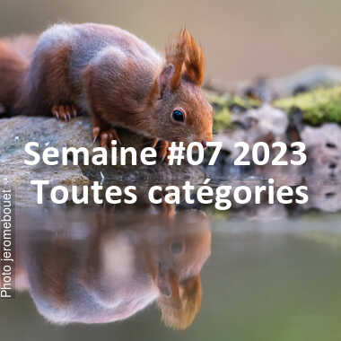 fotoduelo Semaine #07 2023 - Toutes catégories