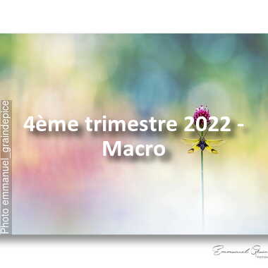 fotoduelo 4ème trimestre 2022 - Macro