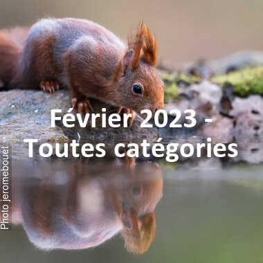 fotoduelo Février 2023 - Toutes catégories