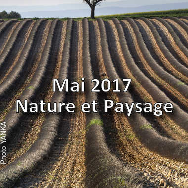 fotoduelo Mai 2017 - Nature et Paysage