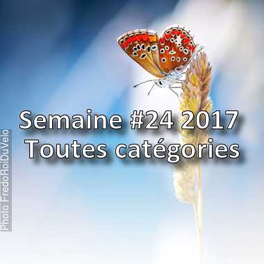 fotoduelo Semaine #24 2017 - Toutes catégories