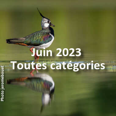 fotoduelo Juin 2023 - Toutes catégories