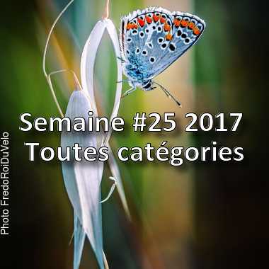 fotoduelo Semaine #25 2017 - Toutes catégories