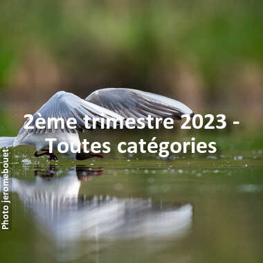 fotoduelo 2ème trimestre 2023 - Toutes catégories