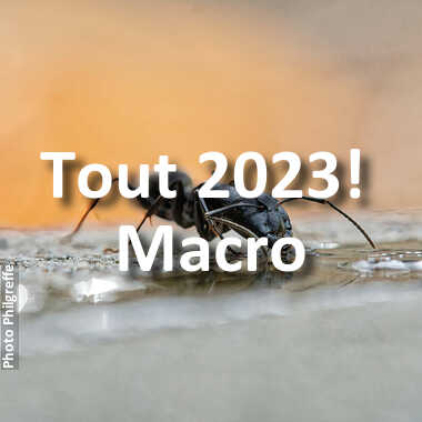 fotoduelo Tout 2023! - Macro