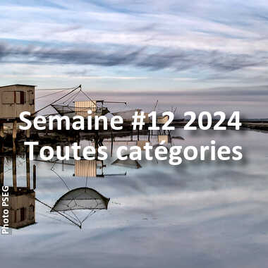 fotoduelo Semaine #12 2024 - Toutes catégories