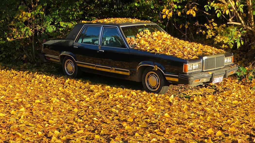 L'auto sous l'automne