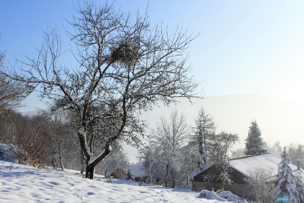 Paysage d'hiver dans les Vosges