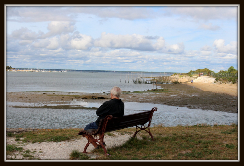 regard sur le bassin
