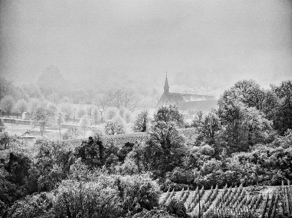 Rosheim, Alsace sous le givre