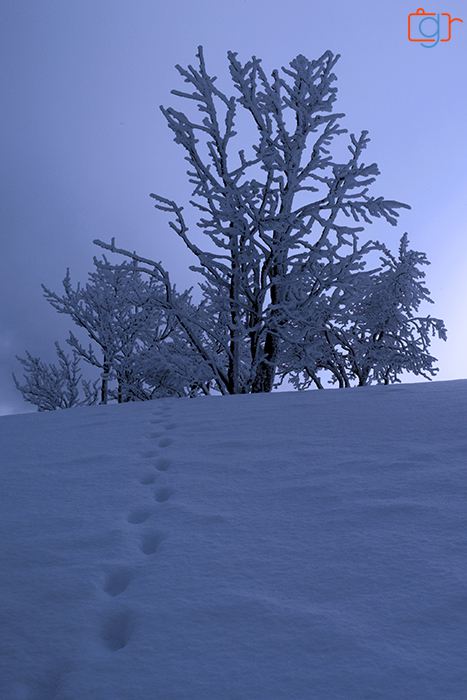 Journée d'hiver en Suisse
