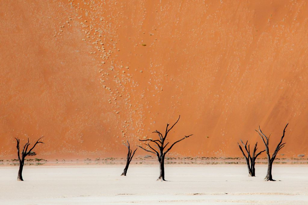 Dead Vlei