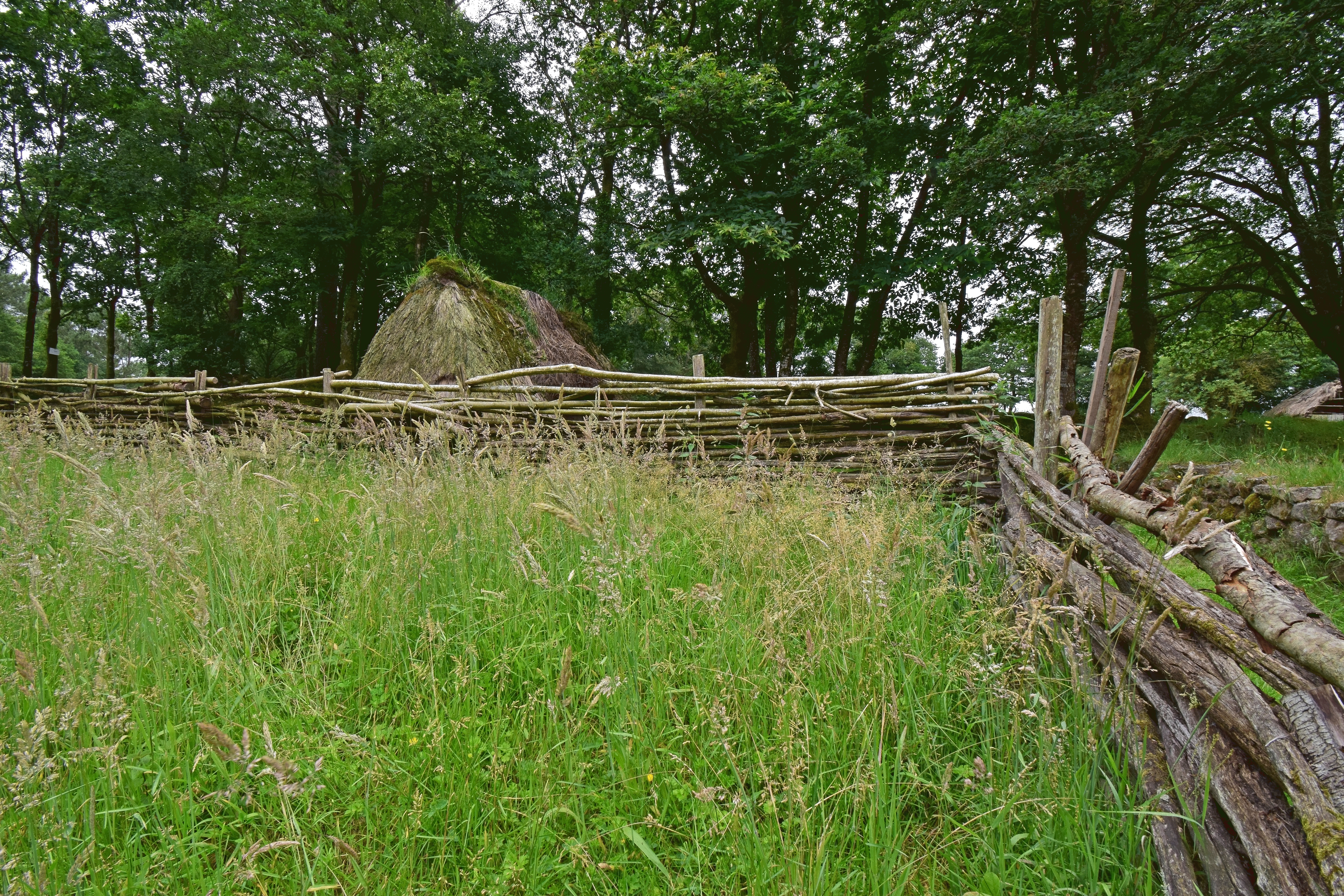 l'enclos