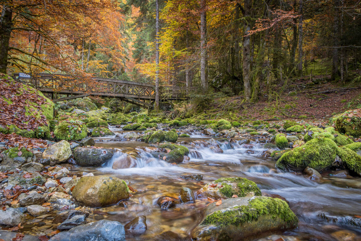 fotoduelo Octobre 2025 - Nature et Paysage