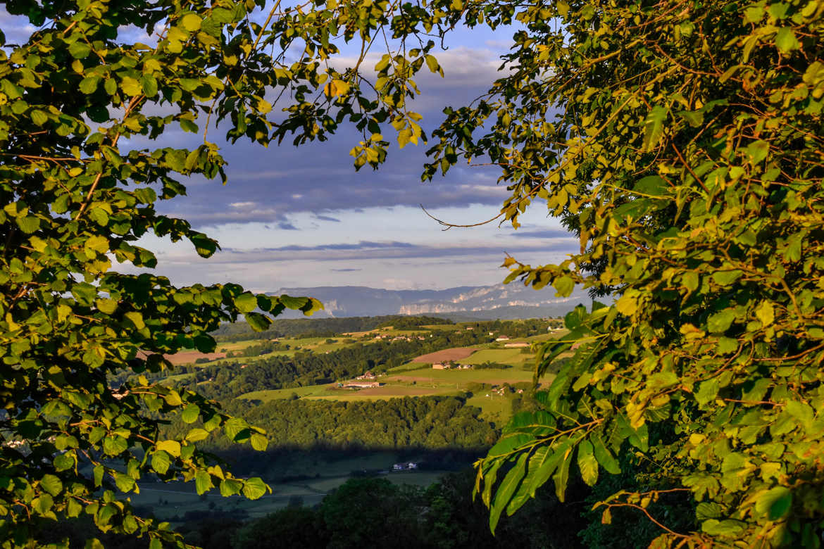 Collines du Dauphiné