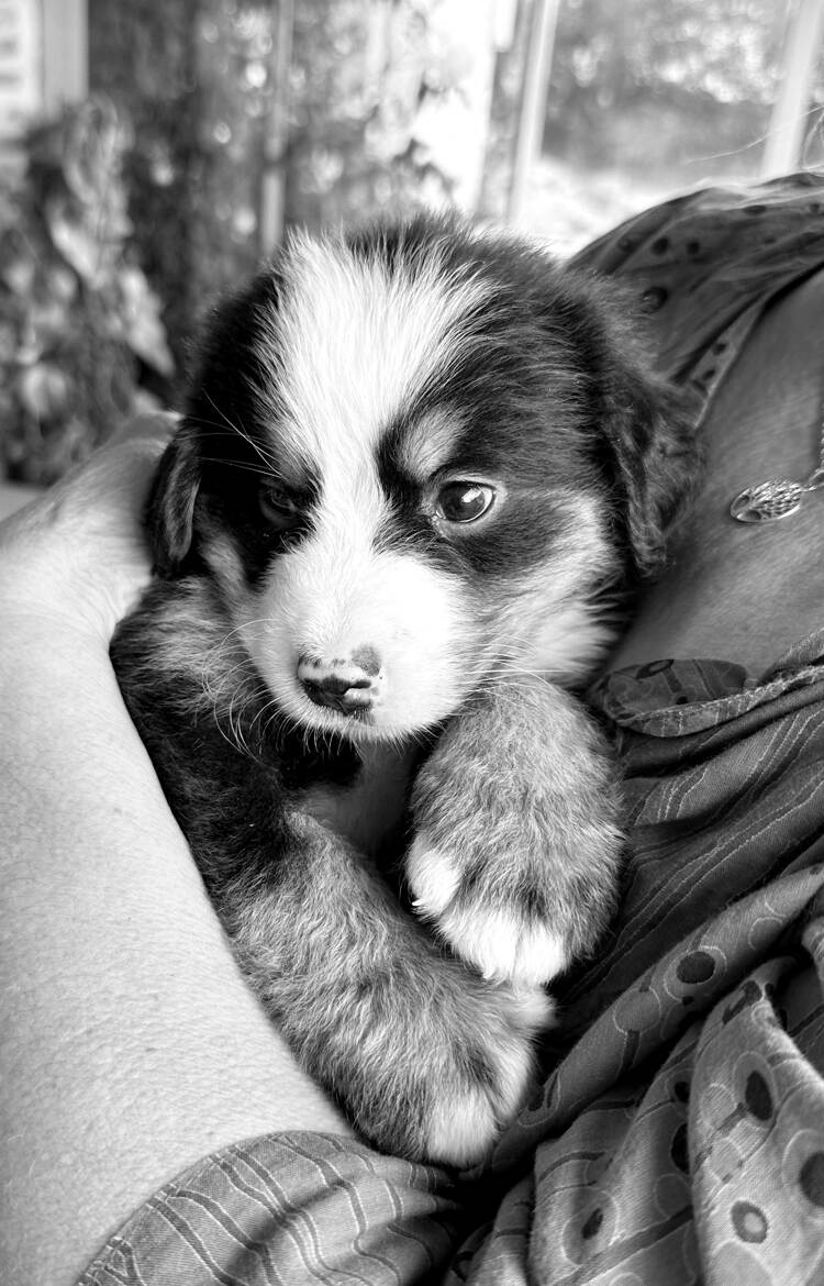 Nous nous sommes choisies