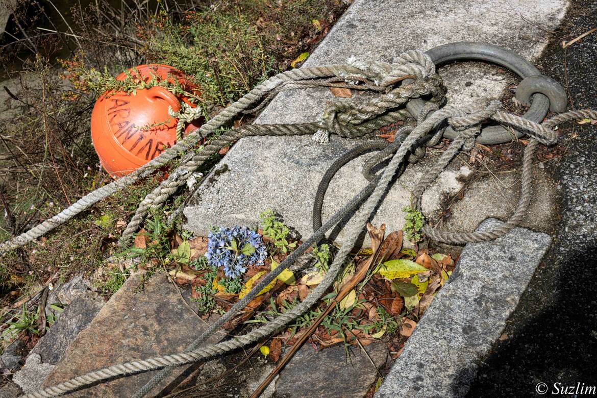 larguez les amarres...