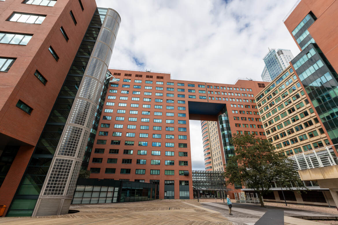 Attrape moi si tu peux