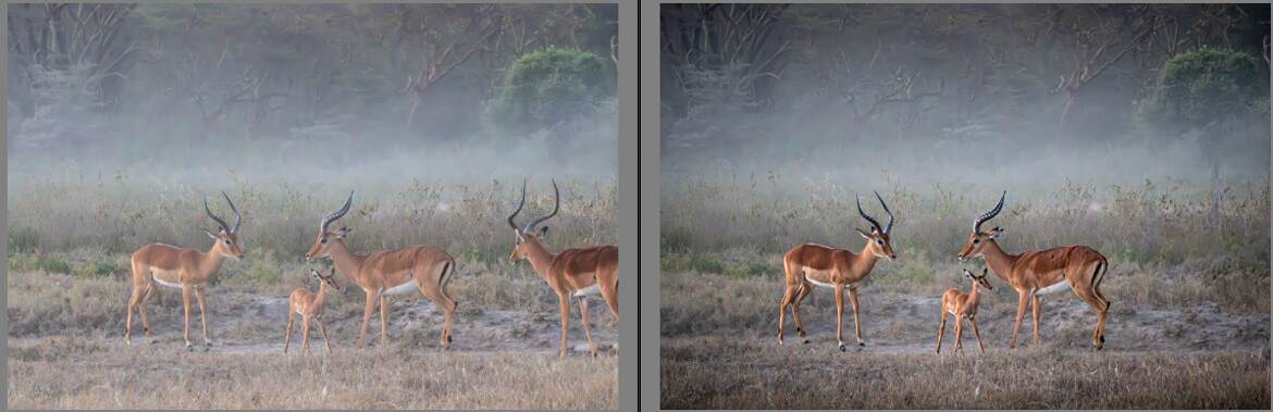 Avant/Apres de la photo à 3