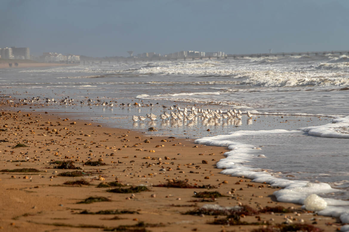 En bord de mer