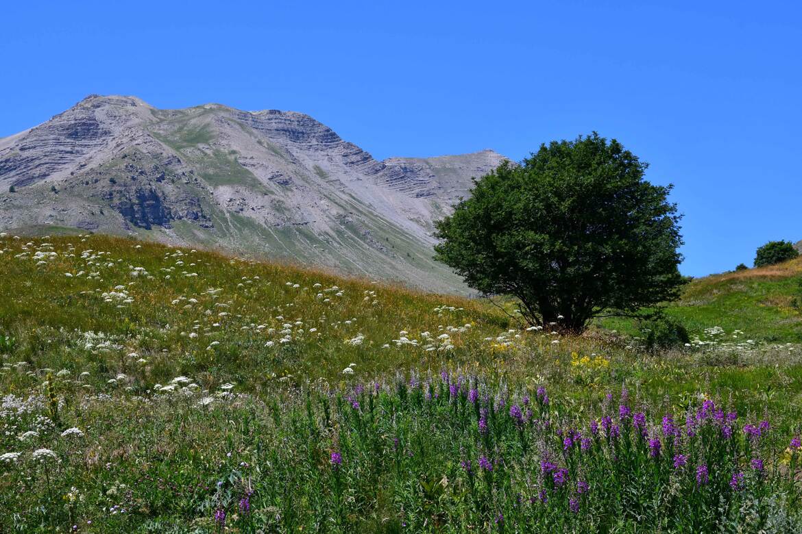 Si j'étais un paysage...