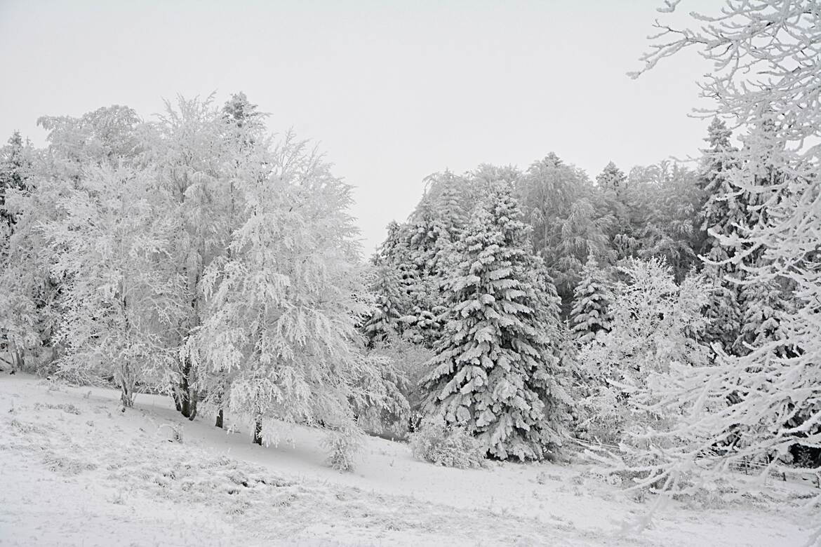 L'hiver dans ma campagne