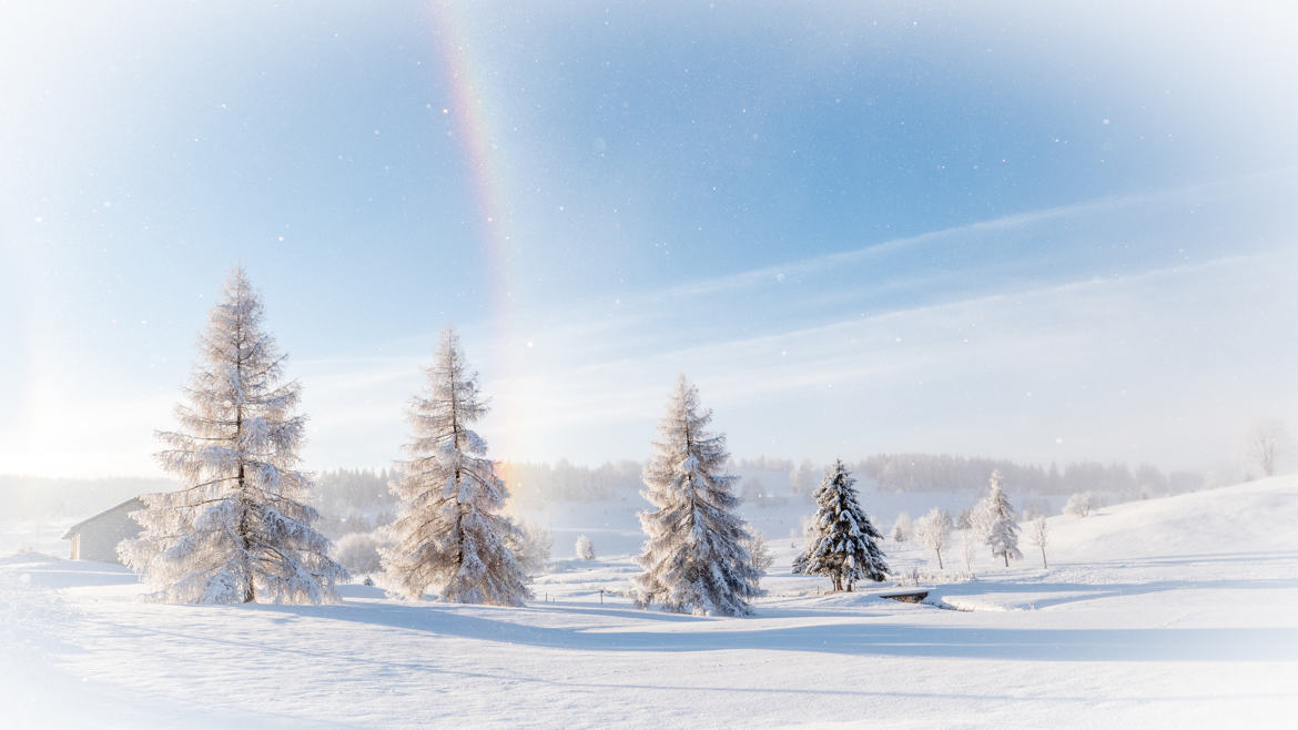 Premières neige...