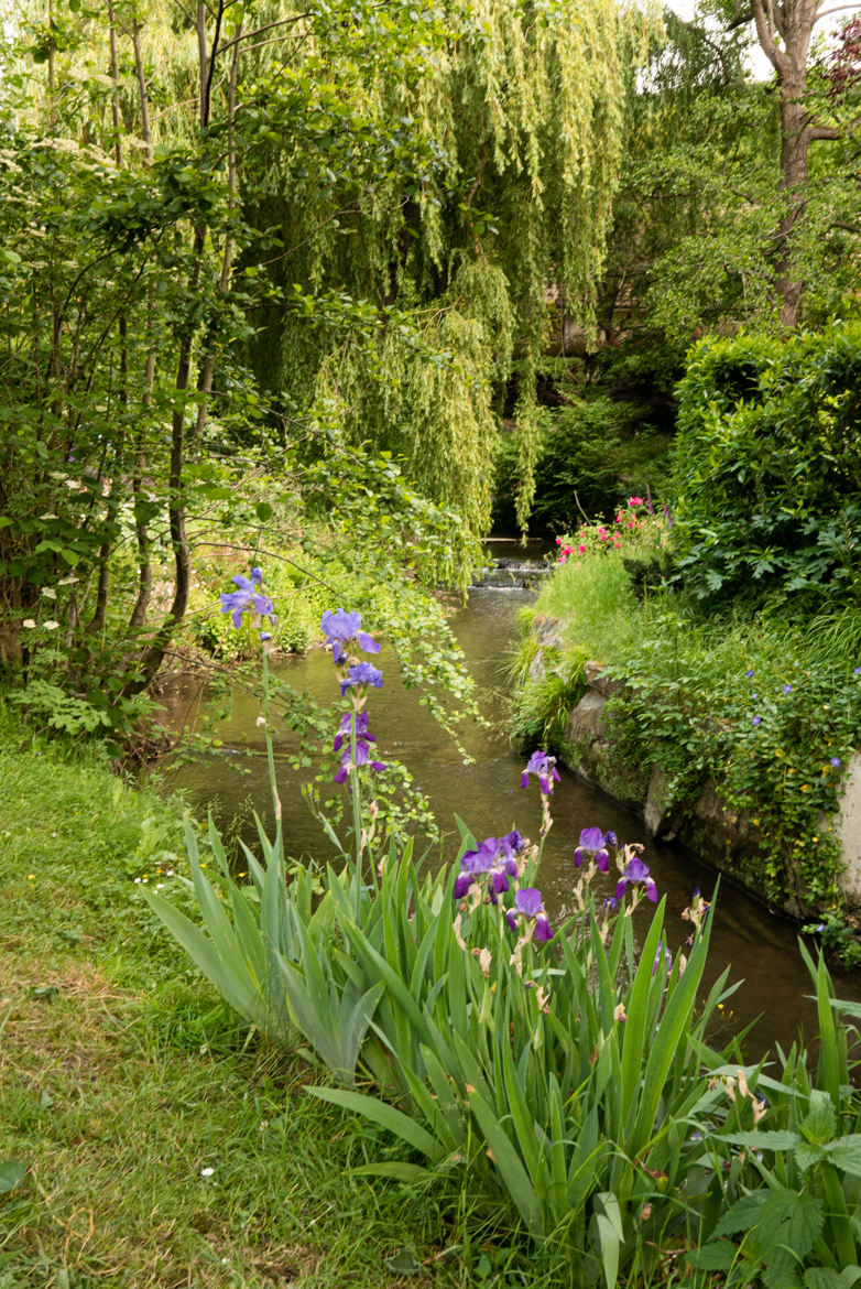 Promenade bucolique