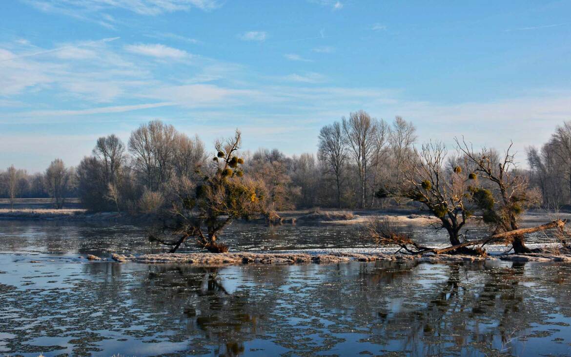 Îlots sur la Loire