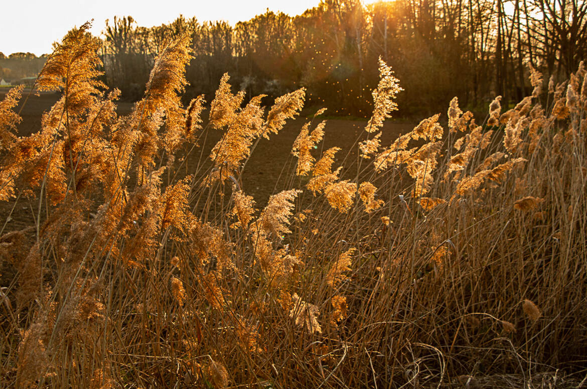 sous les rayons du soleil