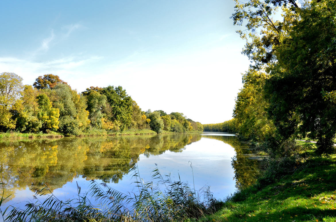 Debut d'Automne