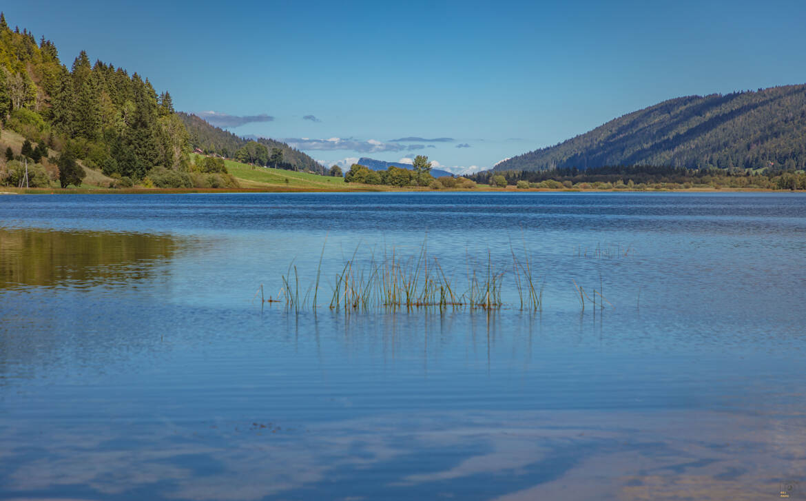 Lac des Rousses (suite)