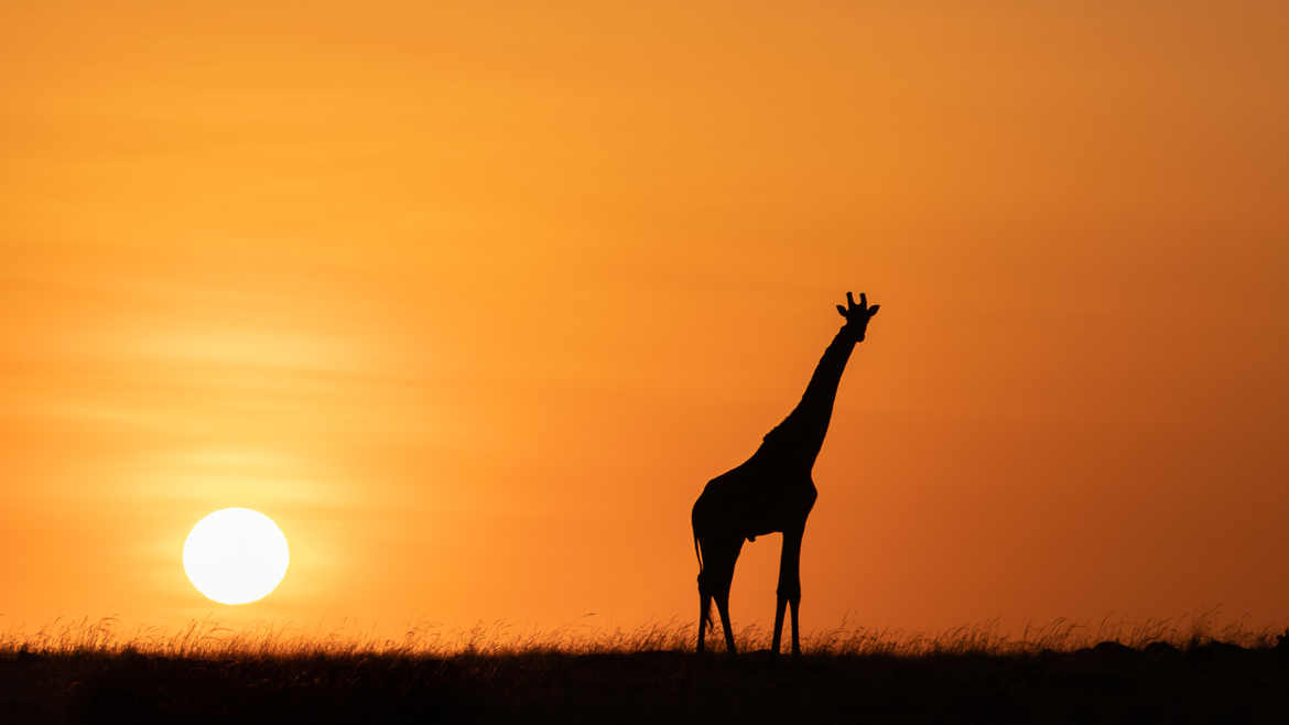 le jour se lève au Kenya