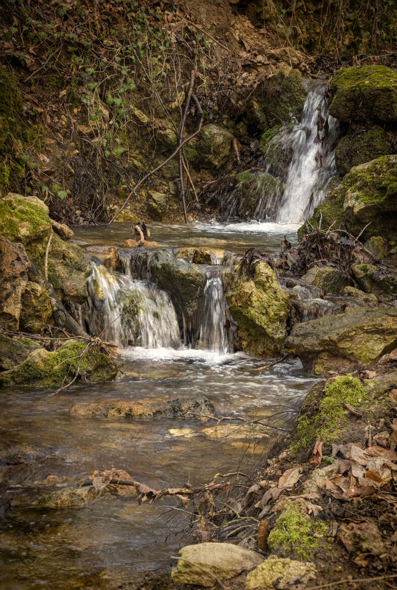 Petit mais peut devenir grand.