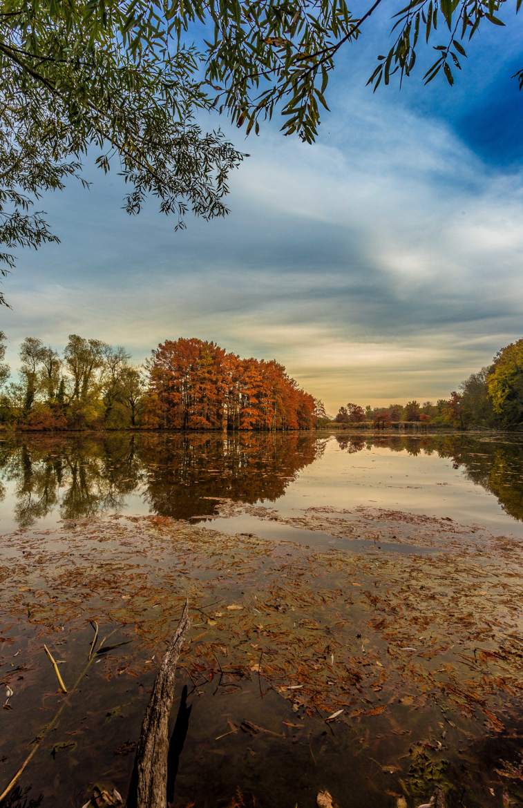 Couleurs et reflet.