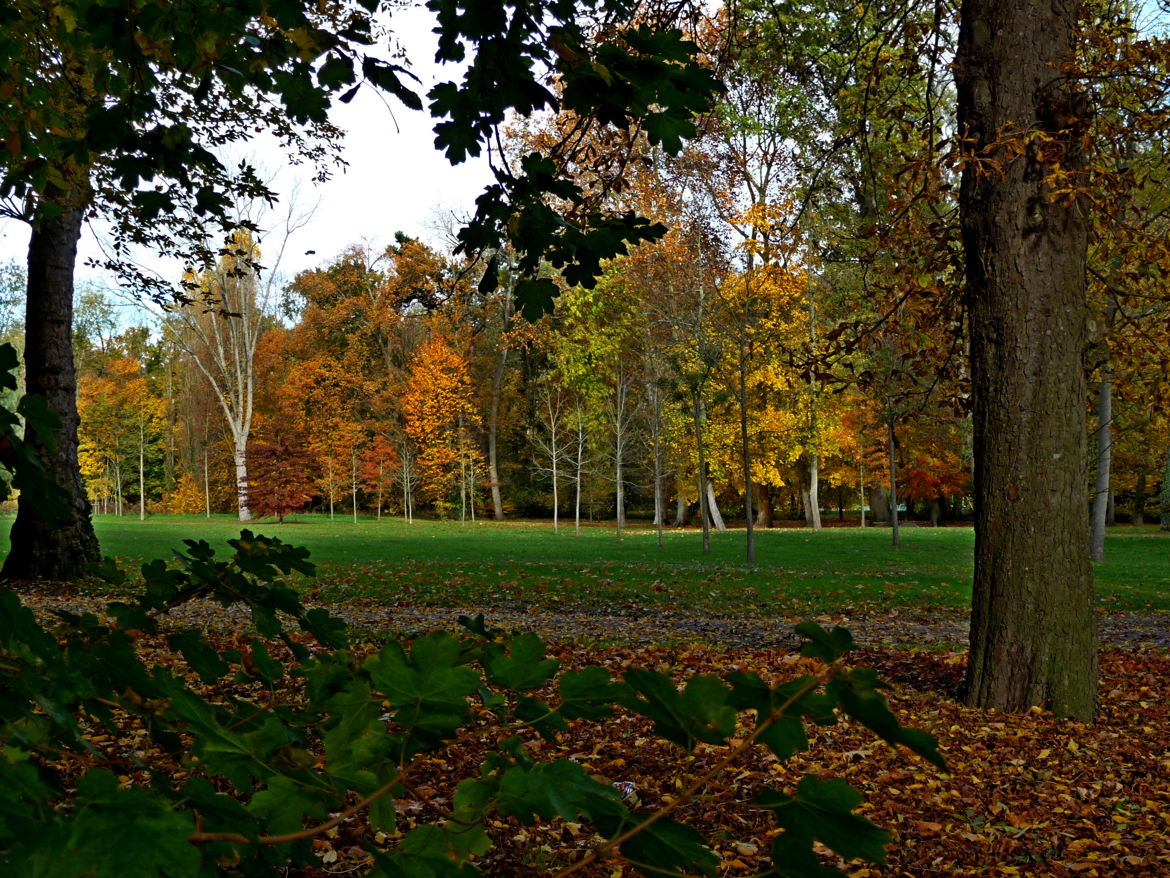 nuances d'automne