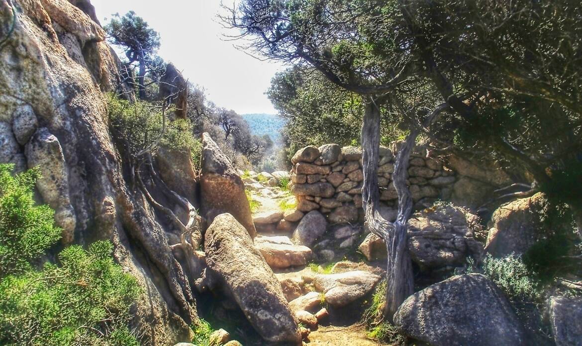 Chemin de Pierre