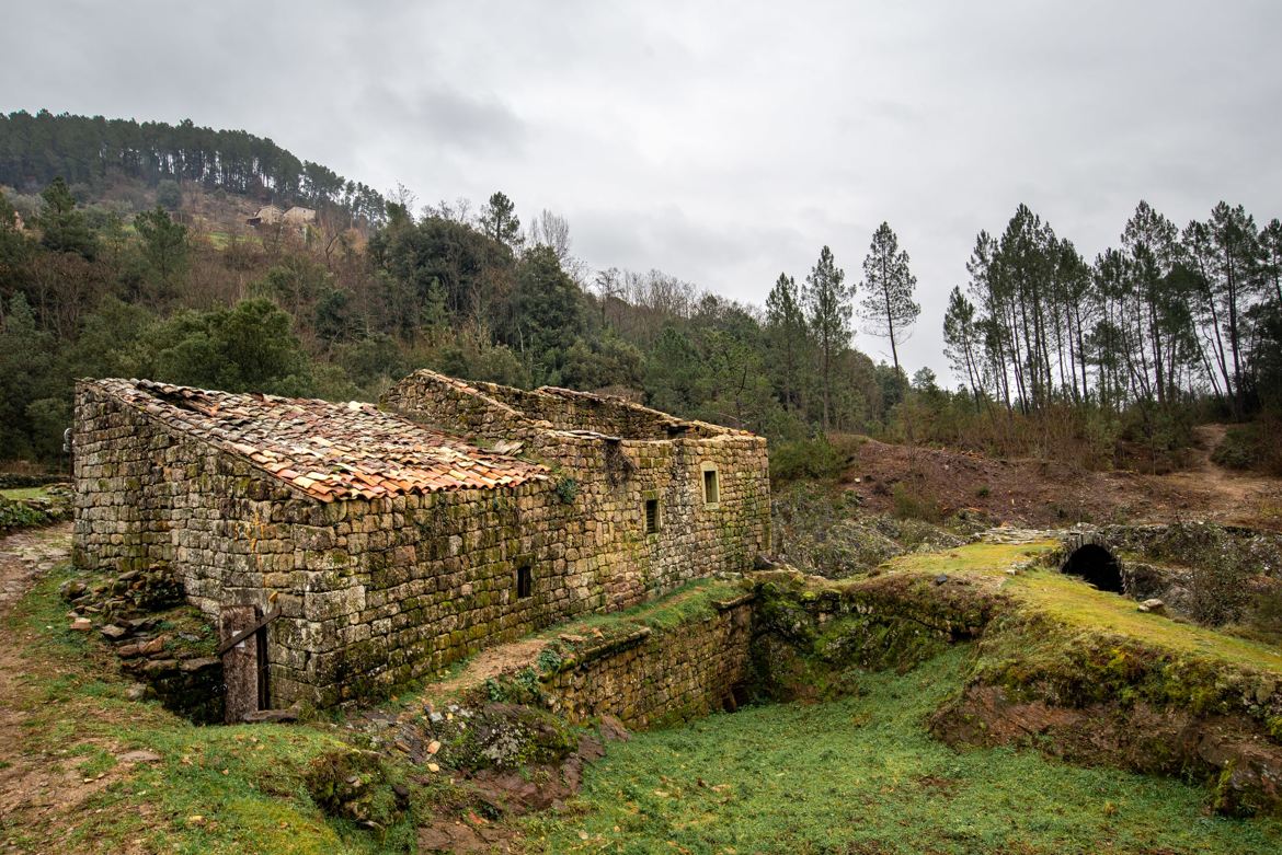 Le Vieux Moulin (5)