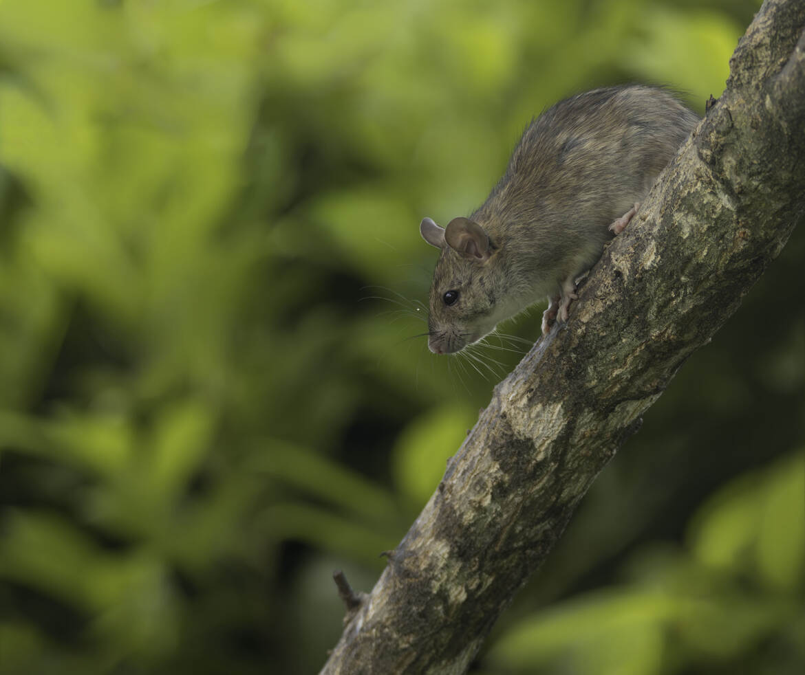 L'INSTANT SUSPENDU D'UN PETIT AVENTURIER
