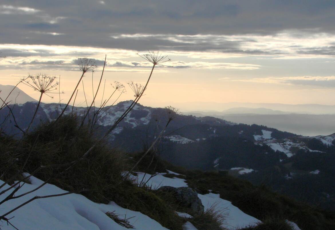 Pastel d'un sombre apres midi