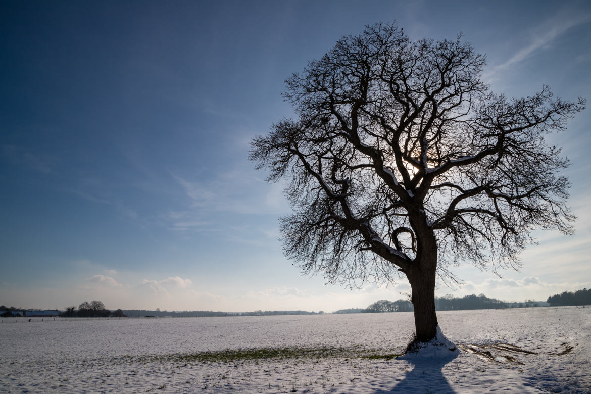 Contre jour dans la neige