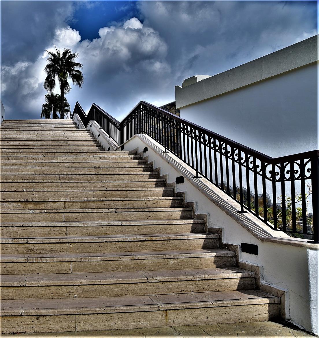 L'escalier du palmier.