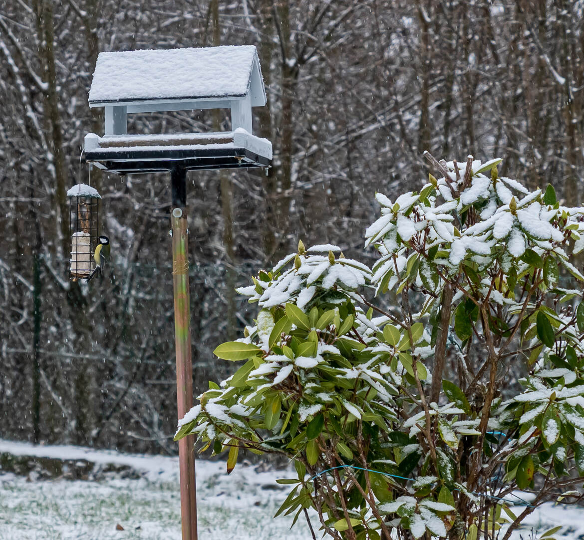 Jour de neige