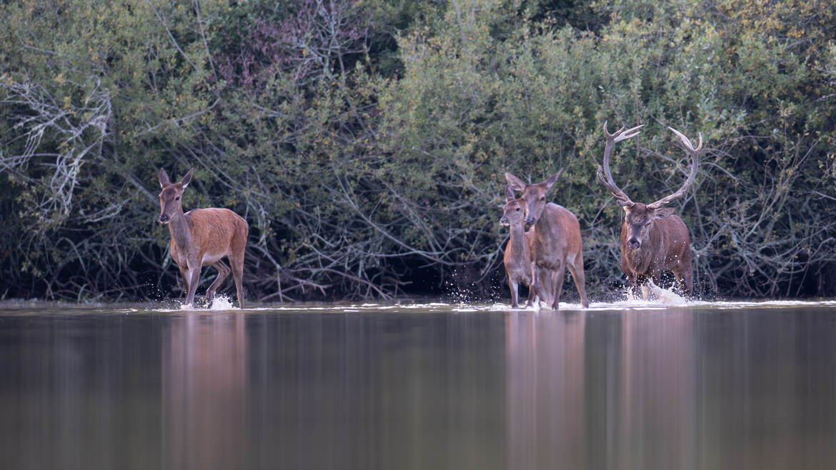 Attendez moi les filles !